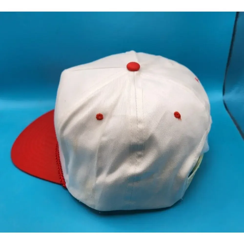 VINTAGE Air Force Association Hat Cap Adjustable Snapback afa